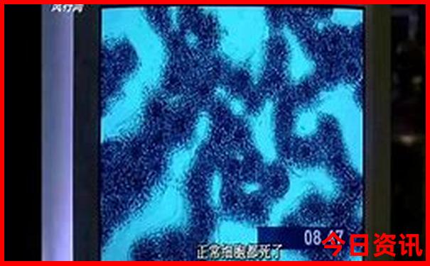 杭州2天一夜旅游攻略